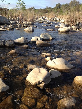 Ventura River flow through cobble.jpg