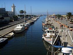 Viareggio, la burlamacca