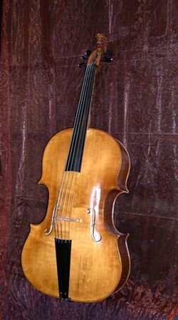 Violone