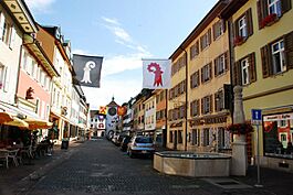 Aesch BL city street.jpg