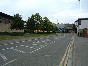 Albert Road Bristol.jpg