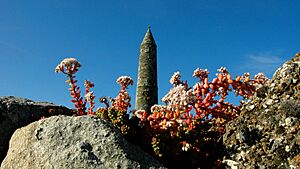 Ardmore Tower and Cemetery