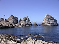 Aulon arch Sugarloaf