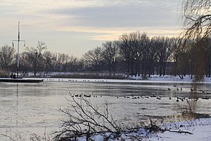 Baisley Pond (Queens) View to the South.JPG