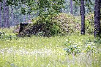 Blakeley Battleground Union Boyaux fortification1.jpg