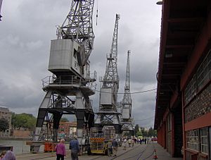 Bristolcranes