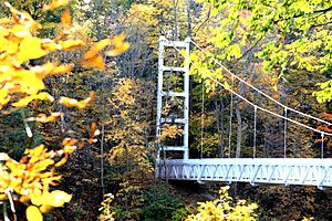 Cornell footbridge