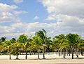 Crandon Park Modified.jpg