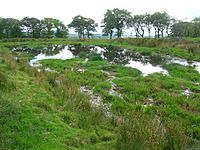 Cuff Hill Lochan