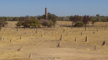 Cumberland Chimney.jpg