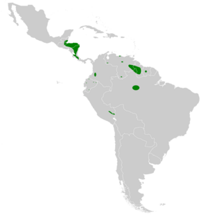 Cypseloides cryptus map.svg