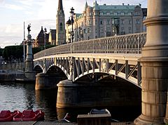 Djurgardsbron 2008