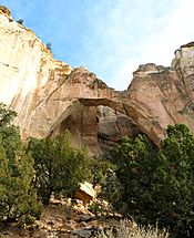 Elmalpais arch laventana