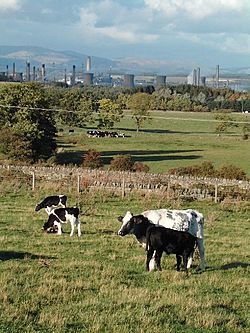 From the Union Canal - geograph.org.uk - 63579