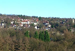 Fulwood General view.jpg