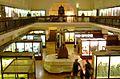 Horniman Museum interior