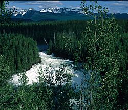 Horseshoe Falls Murtle River