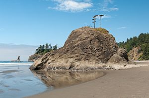 La Push Beach