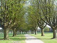 Llandaff Fields path