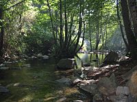 Montseny - Rio Tordera