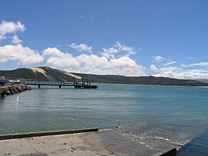 Opononi wharf