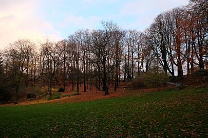 Parc Josaphat with pretty leaves