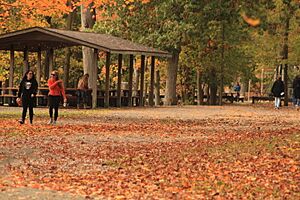 Parkgoers at Lake Topanemus