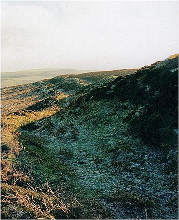 Penyclodd RO.jpg