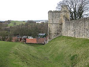 Pickering Counter castle