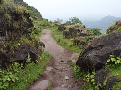 Purandar Fort 80