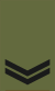 RMVCC Cadet Rank Slide CDTCPL.svg