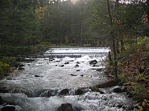 Rauchtown Run in Ravensburg SP