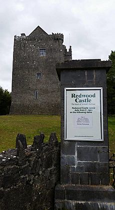 Redwood castle