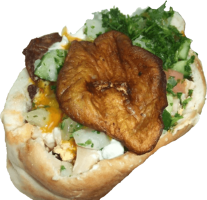 Sabich1.png