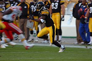 Santonio Holmes 2006