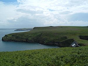 Skomer-NorthHaven