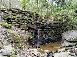 Sope Creek pulp mill retaining wall ruin