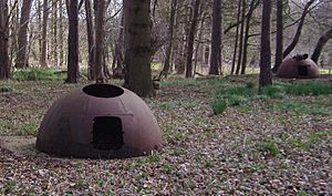 Two Alan Williams Turret's, Cockley Clay Hall, 30th March 2009 (detail)