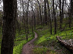 Weston Bend State Park.jpg