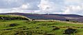 Wind tubines cumbria