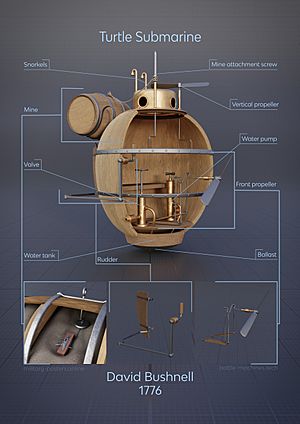 03 turtle infographics A3