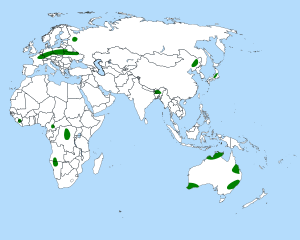 Aldrovanda distribution.svg