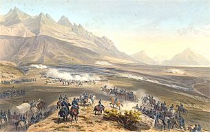 Battle of Buena Vista Nebel