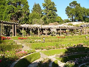 Berkeley Rose Garden.jpg