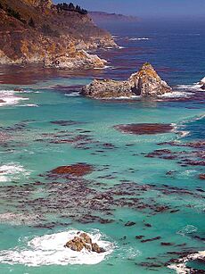 Big sur ocean coastlines