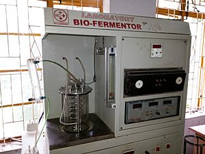 Biofermentor