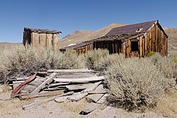 Bodie September 2016 044.jpg