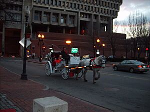 Bostonhorseandcart