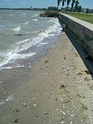 Carancahua Bay Beach