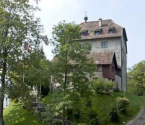 Castle Oberberg